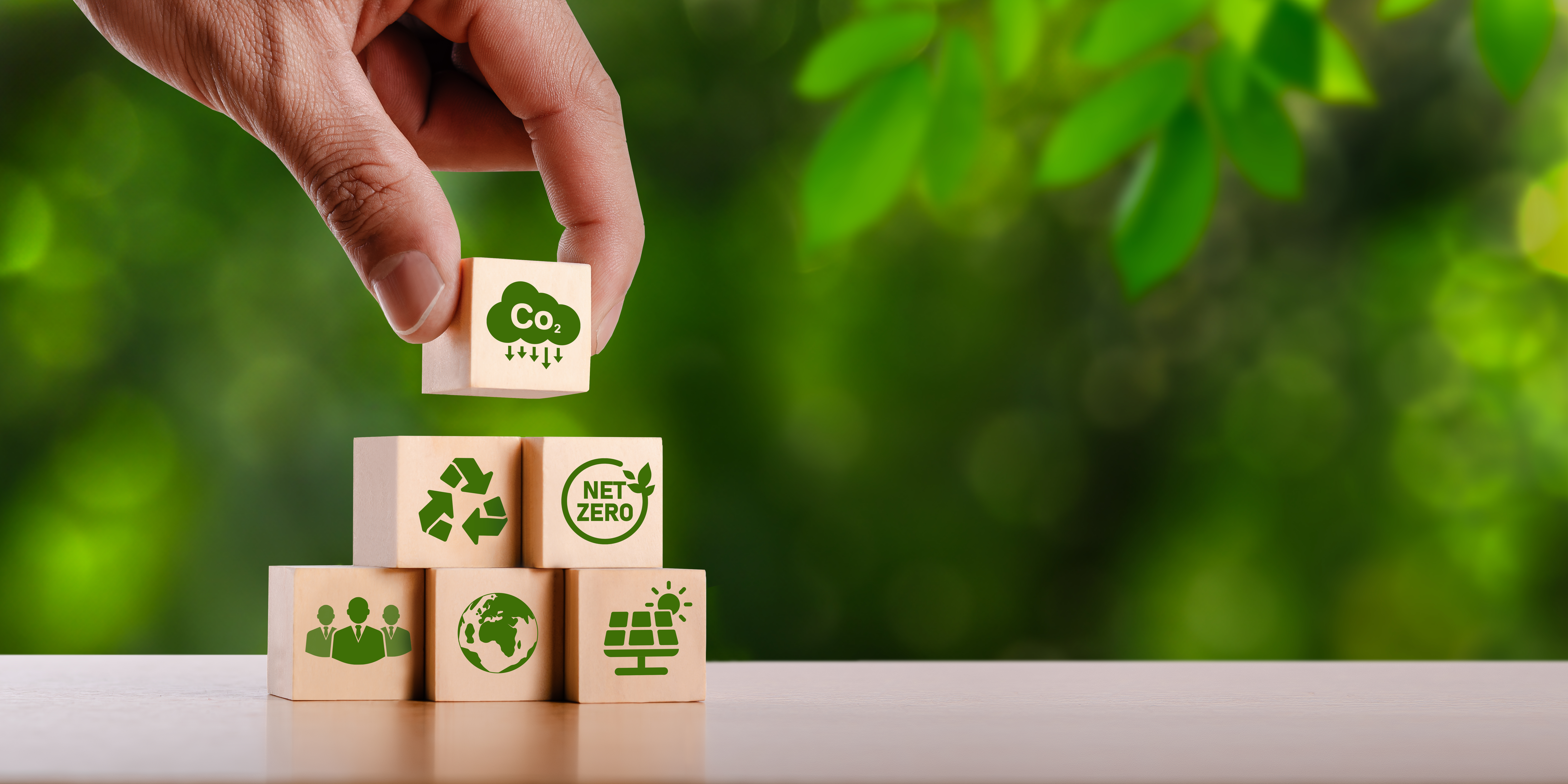 O Que é o Sequestro de Carbono e Como Utilizá-lo no Mercado de Crédito de Carbono
